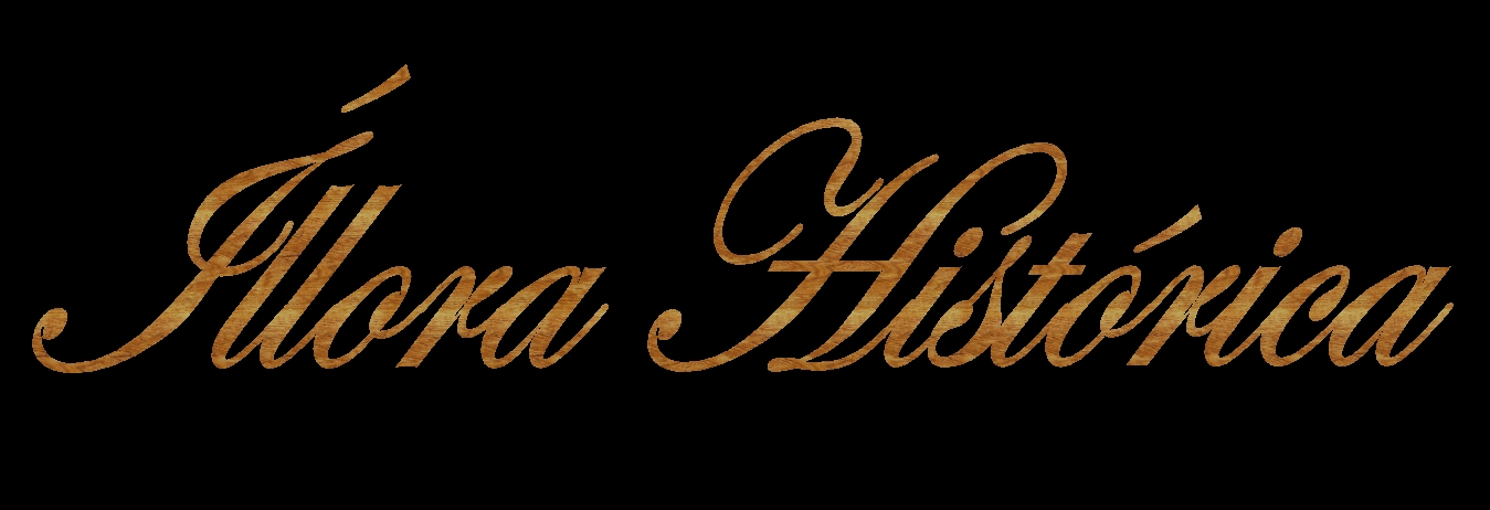 Radio Parapanda · Íllora Histórica